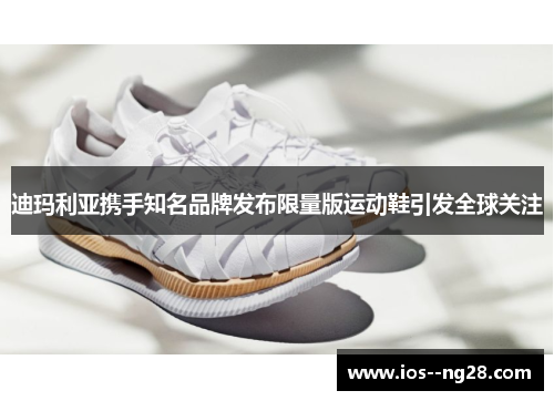 迪玛利亚携手知名品牌发布限量版运动鞋引发全球关注