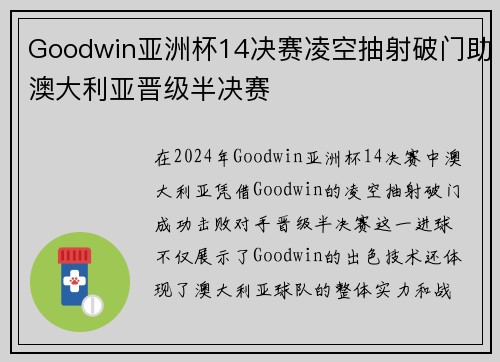 Goodwin亚洲杯14决赛凌空抽射破门助澳大利亚晋级半决赛