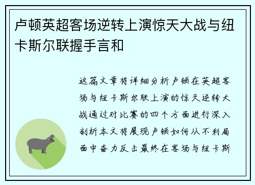 卢顿英超客场逆转上演惊天大战与纽卡斯尔联握手言和 卢顿英超客场逆转上演惊天大战与纽卡斯尔联握手言和